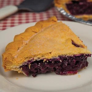 A traditional double-crust blueberry pie with a golden-brown lattice top showing bubbling purple berry filling